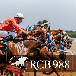 rcb 988